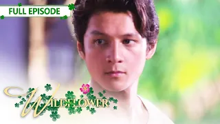 [ENG SUB] Ep 50 | Wildflower | Maja Salvador, Tirso Cruz III, Aiko Melendez