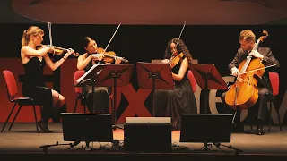 Not quite a classical string quartet | Le Corde del Mondo | TEDxTreviso