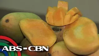 Salamat Dok: Health benefits of Mangoes | Cure Mula Sa Nature