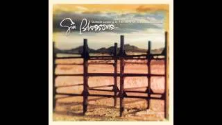 Gin Blossoms, "Not Only Numb"