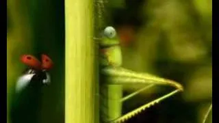 Animation - Grashüpfer Catapult