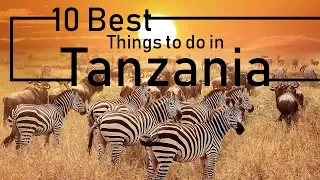 Things To Do And Places To Visit In Tanzania | Must-See Attractions