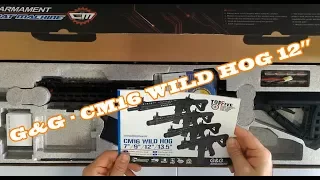 Assistec - Review G&G Rifle Airsoft CM16 WILD HOG 12" - PT/BR