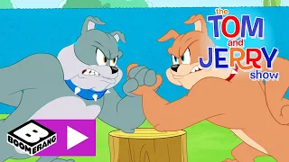 Tom i Jerry | Afera z bratem Spike’a | Cartoonito