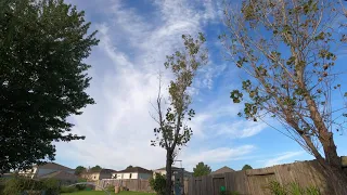 Sun Up to Afternoon 4K Time Lapse Video - Houston, TX 9/22/21