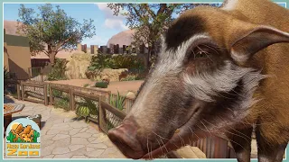 Adding Red River Hogs! | Mesa Gardens Zoo | Planet Zoo Franchise Lets Play