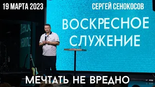 19.03.2023. Сергей Сенокосов. "Мечтать невредно.”