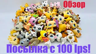 LPS: ПОСЫЛКА С 100 LPS! 🔥 (Обзор #1)