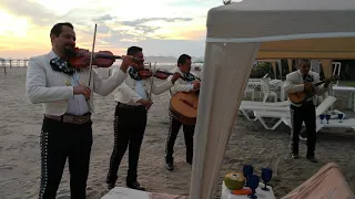 MARIACHI DE ACAPULCO TOCANDO UNA SERENATA EN PLAYA DIAMANTE. TEL 744-250-2305 WHATSAPP 744-469-7988.