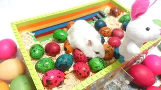 Easter Eggs DIY 🐹 With Hamsters