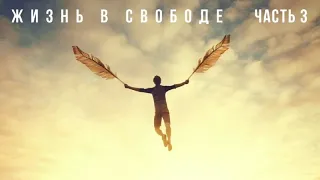 "ЖИЗНЬ В СВОБОДЕ" ЧАСТЬ 3 . Валерий Гусаревич . школа г. Санкт-Петербург .