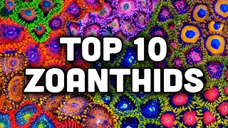 Top 10 Zoanthids from TSA!