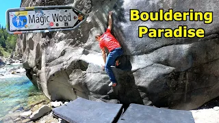 Outdoor bouldering in the paradise Magic Wood - Grit De Luxe - A Magic Wood Classic!