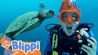 Scuba Diving With Blippi! | Learning Videos for Toddlers | Educational Videos for Kids
