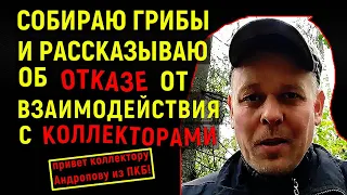 Собираю грибы и рассказываю об отказе от взаимодействия с коллекторами! Привет коллектору Андропову!