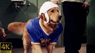 Air Bud Golden Receiver (1998) Theatrical Trailer [4K] [5.1] [FTD-1022]