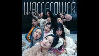 TWICE - WALLFLOWER (extended version)