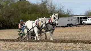 North Carolina Work Horse and Mule Association Plow Day