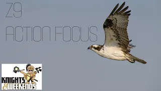 Nikon Z9 Autofocus for Birds and Action