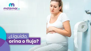 ¿Cómo saber si es líquido amniótico, orina o flujo vaginal? | Maternar.co