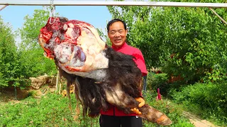 WHOLE YAK LEG Grilled For A Day. Chewy Outside But Tender Inside!  | Uncle Rural Gourmet