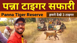 हमने देखे 3 टाइगर - Panna National Park Safari | Panna tiger reserve | panna wildlife sanctuary