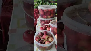 @Квашені яблука на зиму,дуже просто,смачно, корисно!!!!