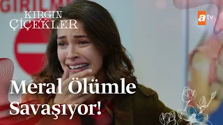 Meral hayata tutunabilecek mi? | Kırgın Çiçekler Mix Sahneler