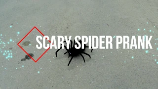 Огромный Паук на Улицах Города Воронежа Пранк /  Big Scary Spider Prank Russia