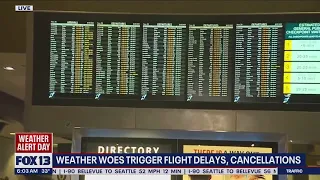 Dozens of flights canceled, delayed due to weather | FOX 13 Seattle