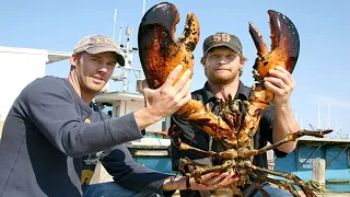 Amazing Fastest Giant Lobster Catch Skill - Most Satisfying Lobster Fishing Video