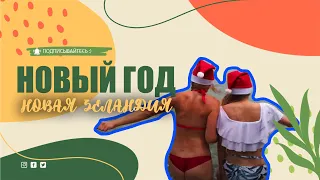 Птичий остров Тири-Тири в Новой Зеландии и как мы начали отмечать Новый год