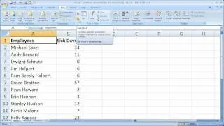 Excel Tips 18 - Quickly Sort Data Alphabetically and Numerically in Excel 2007