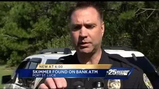 Another skimmer found on Treasure Coast