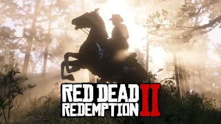 Стрим Red Dead Redemption 2. (8 серия)