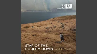 Star of the County Down (Matt Robertson Ambient Mix)