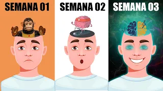 COMO SER MAIS INTELIGENTE  | 9 Hábitos fáceis que vão mudar a sua vida