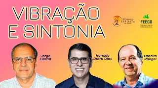 Vibração e sintonia - Haroldo Dutra Dias, Jorge Elarrat e Otaciro Rangel