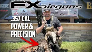 FX Airguns Impact M3 .357 cal: NEW Superior Heavy Slug Liner = SHOCKING RESULTS!