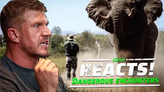 INSANE DANGEROUS ANIMAL ENCOUNTERS! 🤯| Josh Reacts Ep. 3 |