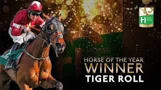 Tiger Roll - Horse of the Year | HRI Awards 2019