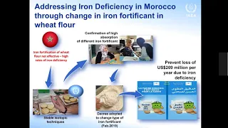 Stable isotope application in micronutrient and energy metabolism - Serial 18 2nd ISFAN 2020