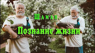 Шаман. Познание жизни в мировоззрении белых шаманов