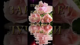 Эти розы для тебя,любимая!🌹