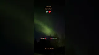 Aurora norrsken Luleå Sweden 2023/03/23 🇸🇪❤️