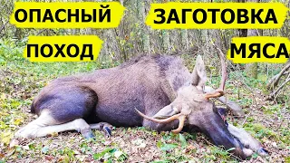 Заготовка мяса. Опасный поход. В борьбе за выживание/Dropped (Охотник и рыболов)