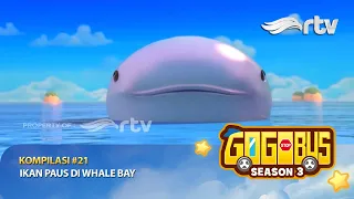 Gogobus Indonesia RTV : Kompilasi #21 - Ikan Paus di Whale Bay  | Season 3