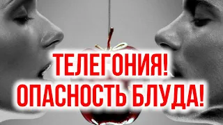 Телегония. В чем опасность блуда?