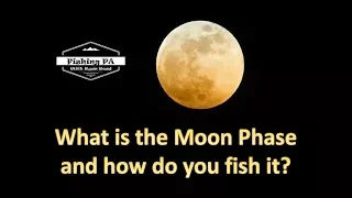 Fishing Moon Phases - Understand The Moon Phase to Catch More Fish!