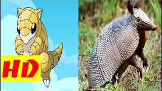 New Pokemon in Real Life 2018 - All Characters HD